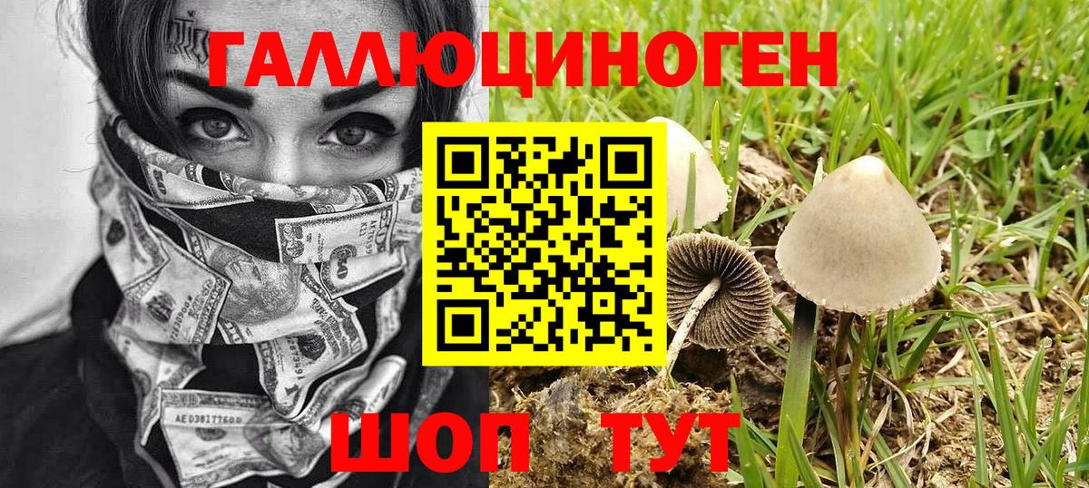 Галлюциногенные грибы GOLDEN TEACHER Норильск