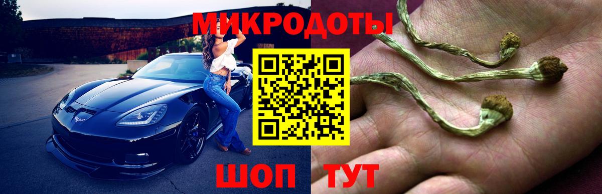 Псилоцибиновые грибы Magic Shrooms  Галлюциногенные грибы Psilocybe  Норильск  Вход с VPN 
